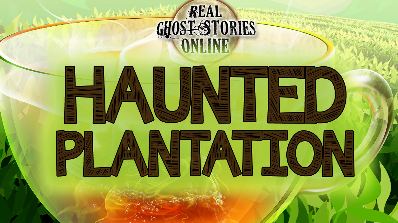 Haunted Plantation Real Ghost Stories Online Haunted Plantation Real Ghost Stories Online