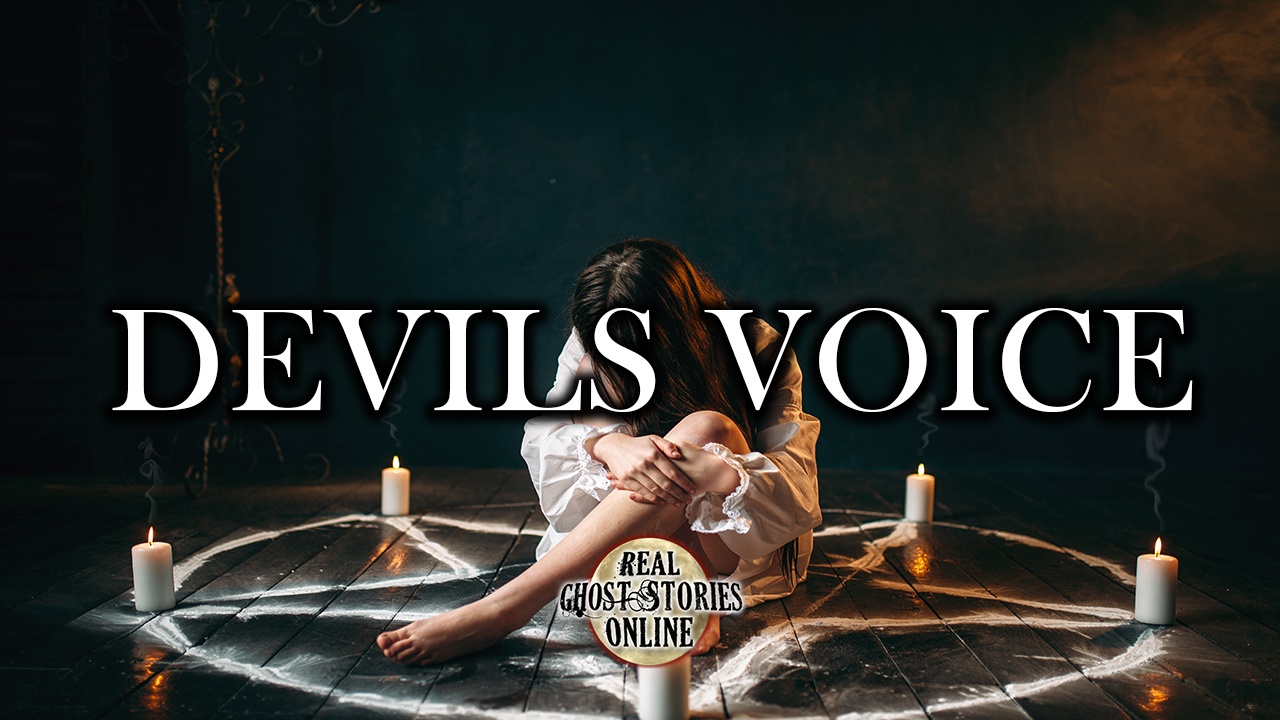Voic. My Devil's Voice фото. My Devil's Voice (2022). My Devil's Voice (MLA).